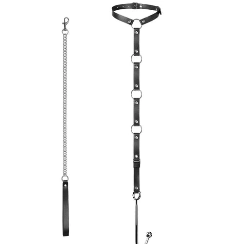 Anal Hooks Anal with Hook 5853 and Leash EverydayUse Collar Kinky 1015